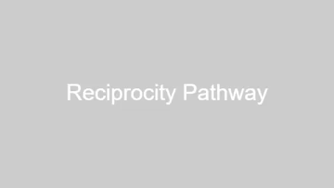 Reciprocity pathway visual