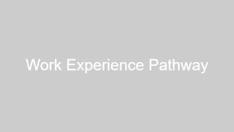 Work Experience Pathway Visual